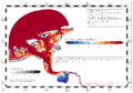 Datei:20190925074726!120px-LzkpBspUndFreq06Trc4.png