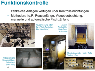 Datei:20190925074312!320px-Seiten aus 150925 Baustein 3 Präsentation BAW-Literaturstudie Bilder bearbeitet Seite 49-1.png
