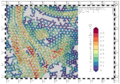 Datei:20190925074456!120px-NcplotBspVecArdCP.png