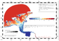 Datei:120px-LzkpBspDNTrc01Trc4.png