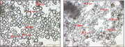 Datei:20190925075539!180px-BAWBrief 02-2012 Bild2.png