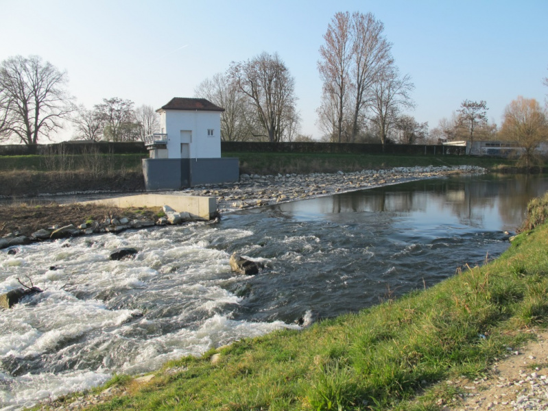 Datei:Nidda.jpg