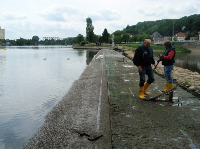 Datei:StreichwehrHameln2.jpg