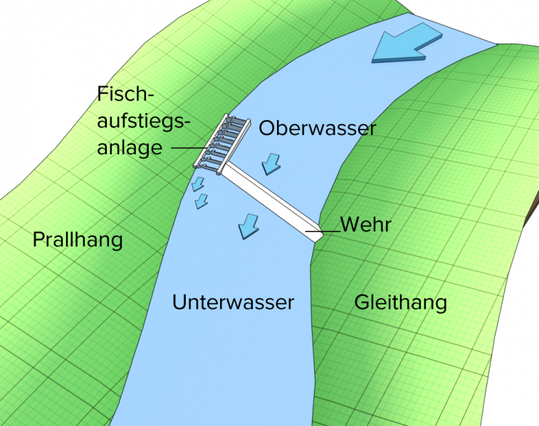 Datei:Fischaufstiegsanlage2.png