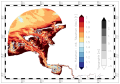 Thumbnail for version as of 09:03, 25 September 2019